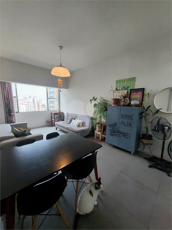 Venda Apartamento São Paulo Santa Cecília REO943257 1