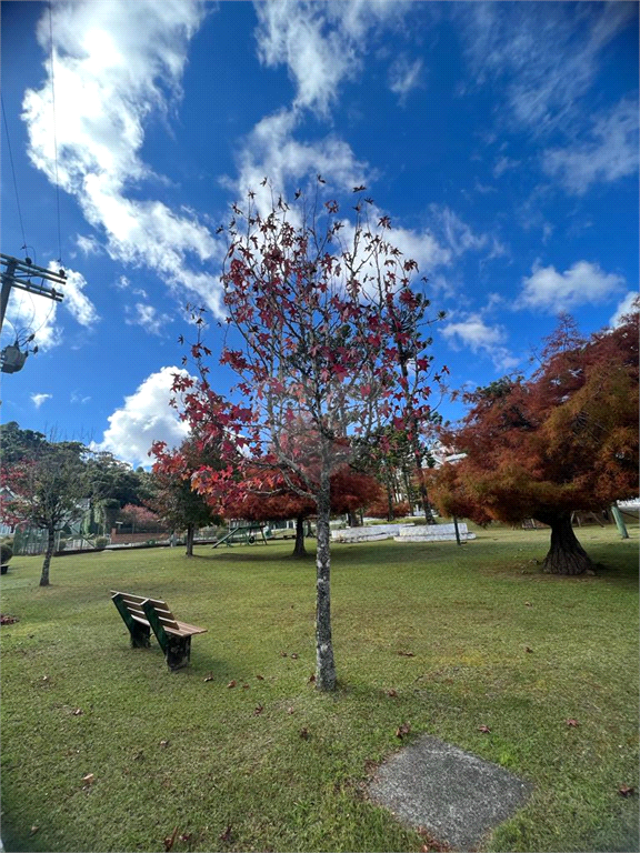 Venda Condomínio Campos Do Jordão Vila Inglesa REO943454 4