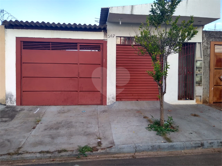 Foto REO943533