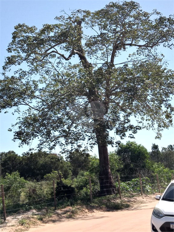 Venda Terreno Vila Velha Morada Da Barra REO943633 16