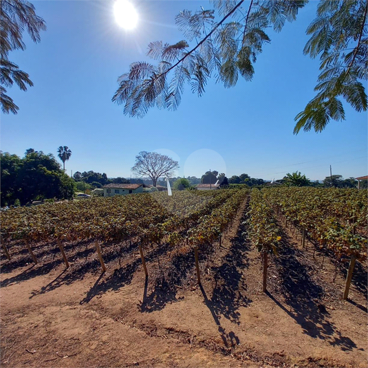 Venda Sítio Indaiatuba Parque Da Grama REO944705 19