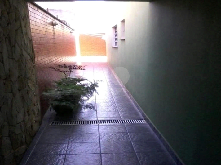 Foto REO944807