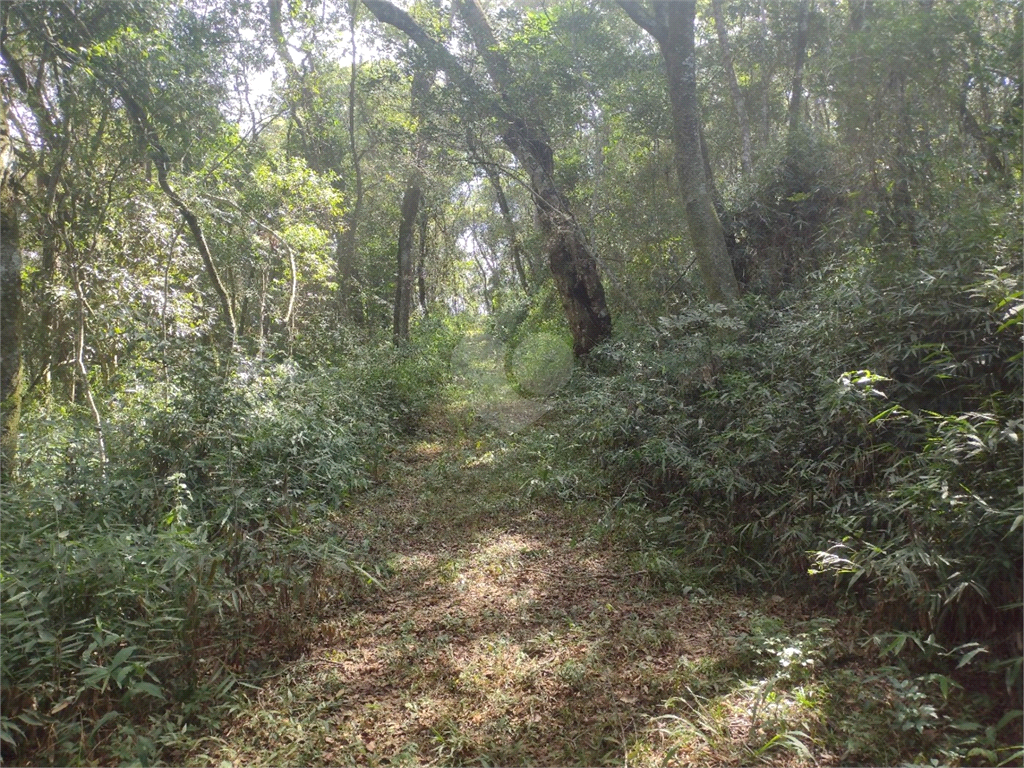 Venda Área de Terra Atibaia Jardim Colonial REO945489 13