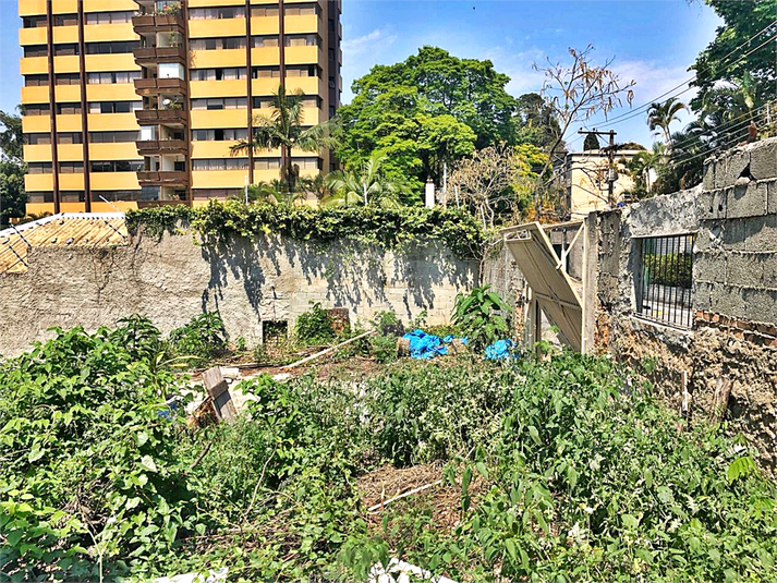 Venda Terreno São Paulo Vila Albertina REO946266 9