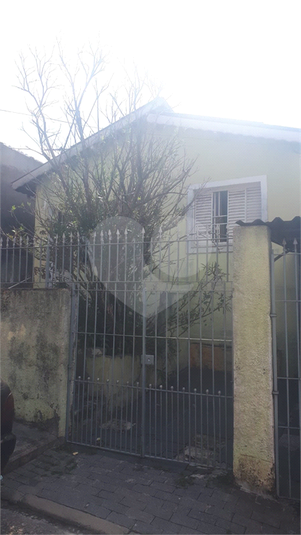 Foto REO946839