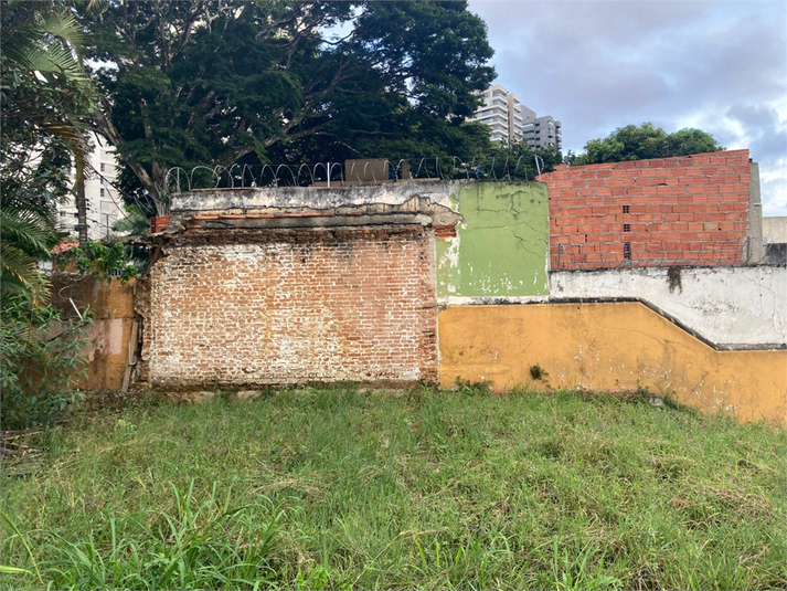 Venda Terreno São Paulo Sumaré REO946924 7