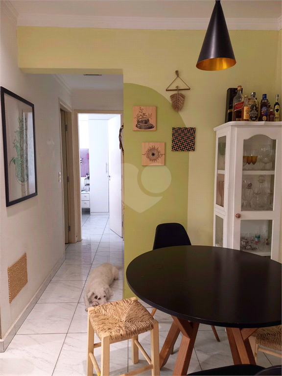 Venda Apartamento São Paulo Sítio Do Morro REO947108 20