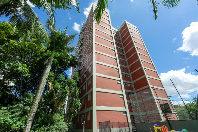 Venda Apartamento São Paulo Jardim Colombo REO947198 4