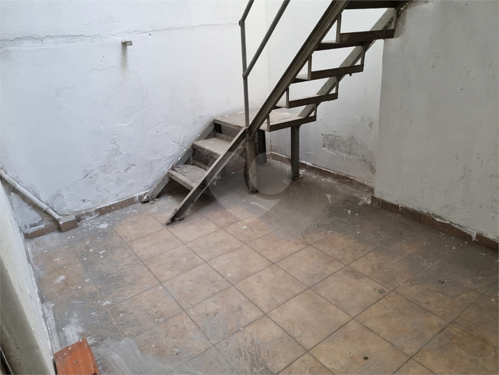Foto REO947287
