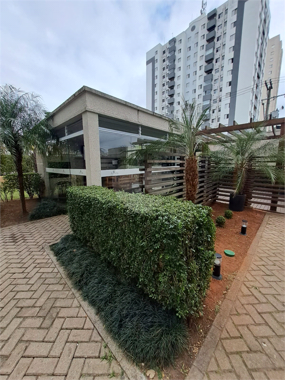 Venda Apartamento São Paulo Vila Antonieta REO947528 20