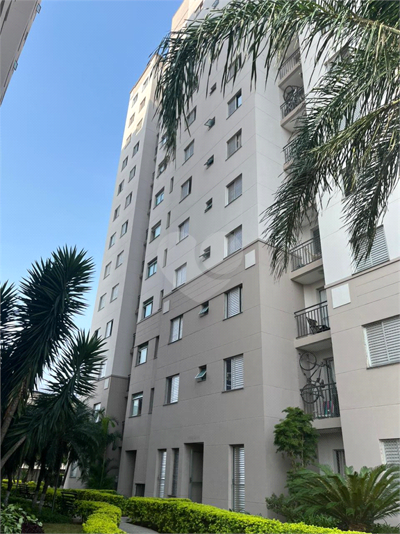 Venda Apartamento São Paulo Vila Guilherme REO947657 1