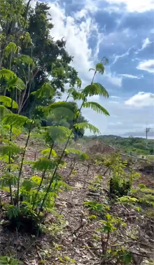 Venda Terreno Niterói Itaipu REO948248 6