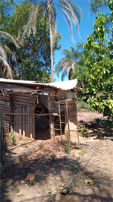 Venda Sítio Lençóis Paulista Área Rural De Lençóis Paulista REO948564 16