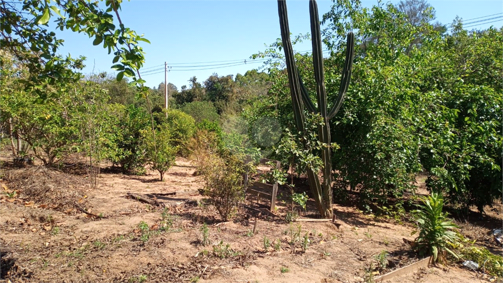 Venda Sítio Lençóis Paulista Área Rural De Lençóis Paulista REO948564 12