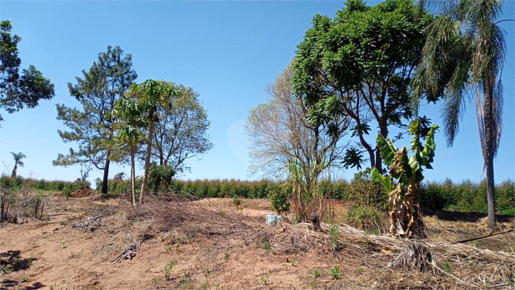 Venda Sítio Lençóis Paulista Área Rural De Lençóis Paulista REO948564 14