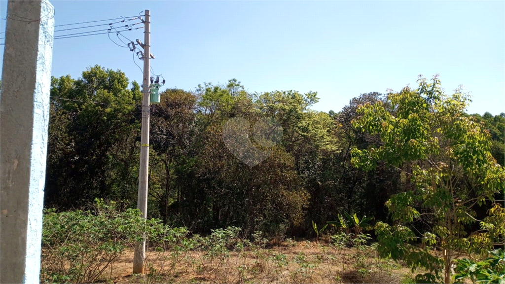 Venda Sítio Lençóis Paulista Área Rural De Lençóis Paulista REO948564 18