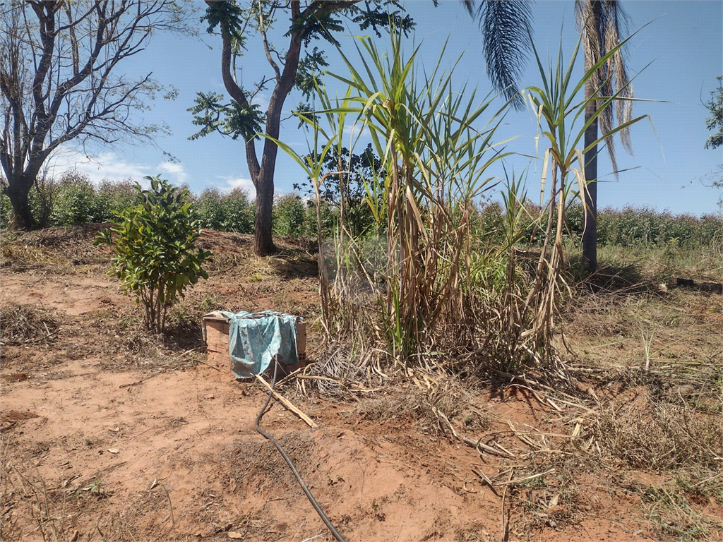 Venda Sítio Lençóis Paulista Área Rural De Lençóis Paulista REO948564 15