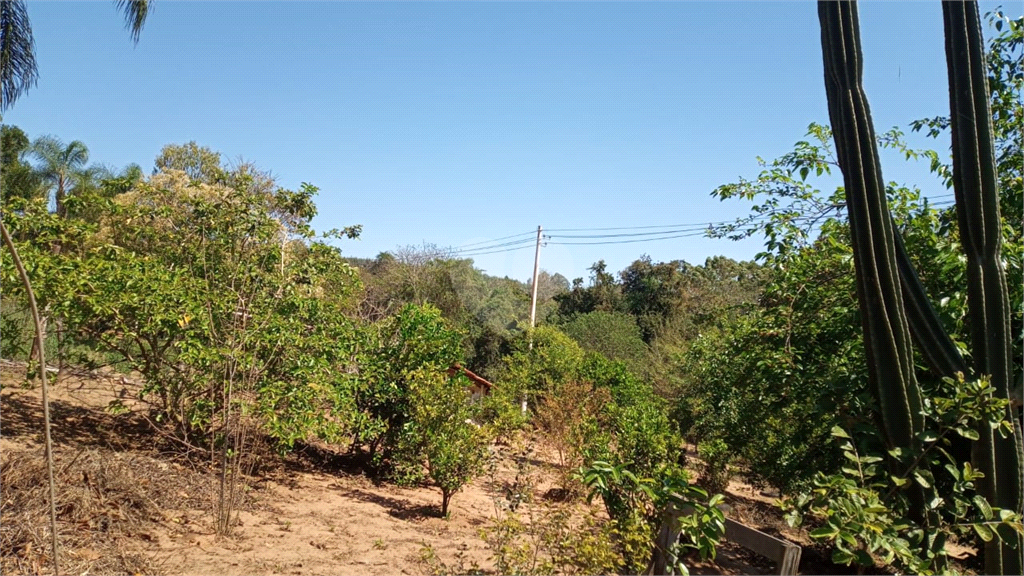 Venda Sítio Lençóis Paulista Área Rural De Lençóis Paulista REO948564 11