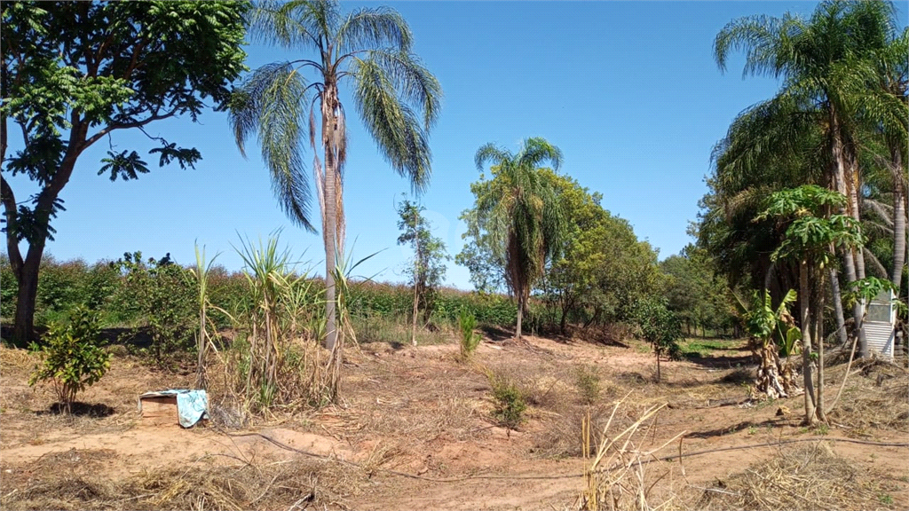 Venda Sítio Lençóis Paulista Área Rural De Lençóis Paulista REO948564 13