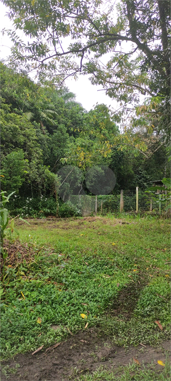 Venda Terreno Caraguatatuba Jardim Do Sol REO948683 3