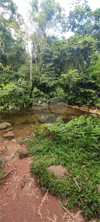 Venda Terreno Caraguatatuba Jardim Do Sol REO948683 12