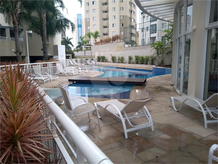 Foto REO949760