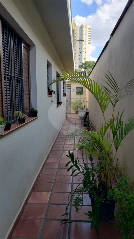 Venda Casa São Paulo Parque Mandaqui REO949951 18