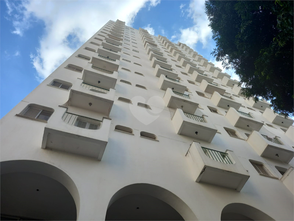 Aluguel Apartamento Campinas Botafogo REO950011 2