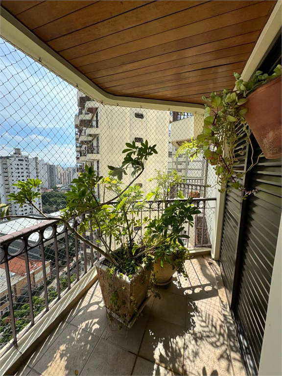 Venda Apartamento São Paulo Vila Gomes Cardim REO950100 5