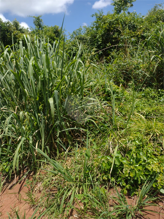 Venda Terreno Bauru Vale Do Igapó REO951214 24