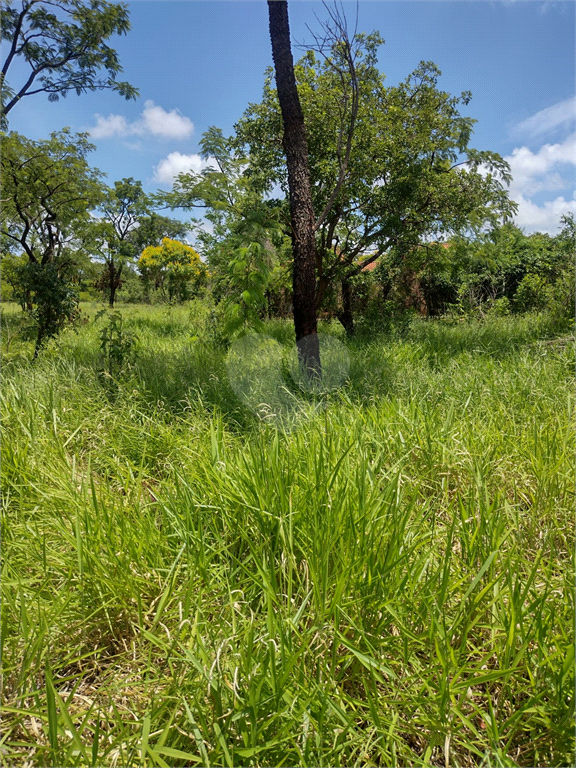 Venda Terreno Bauru Vale Do Igapó REO951214 22