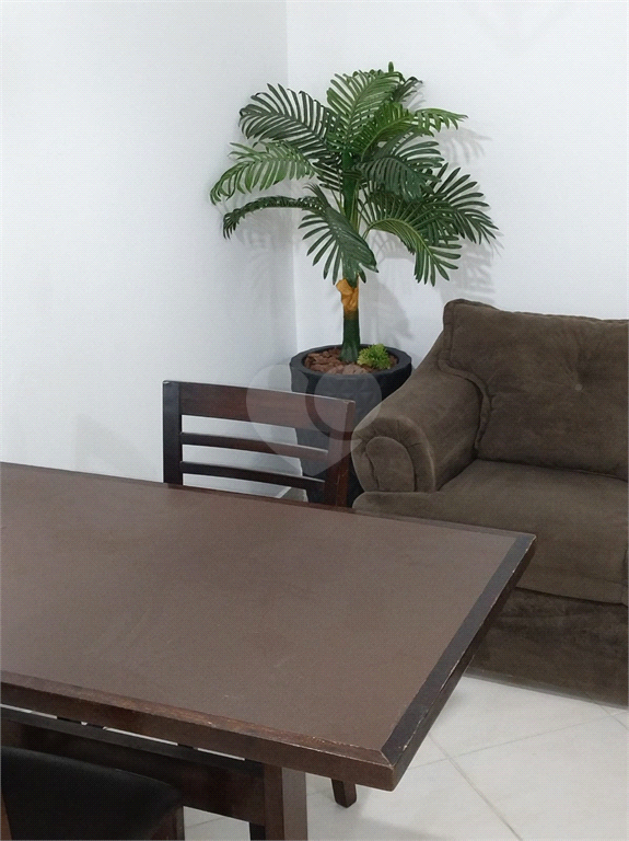 Aluguel Apartamento Campinas Centro REO952270 2