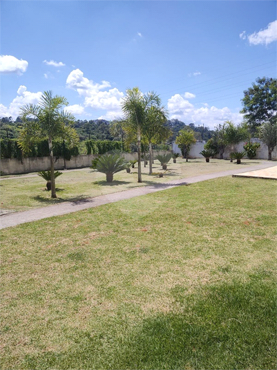Foto REO952305