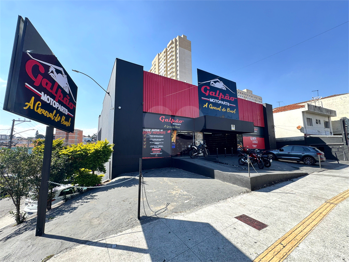 Foto REO952447