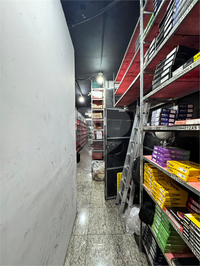 Foto REO952447