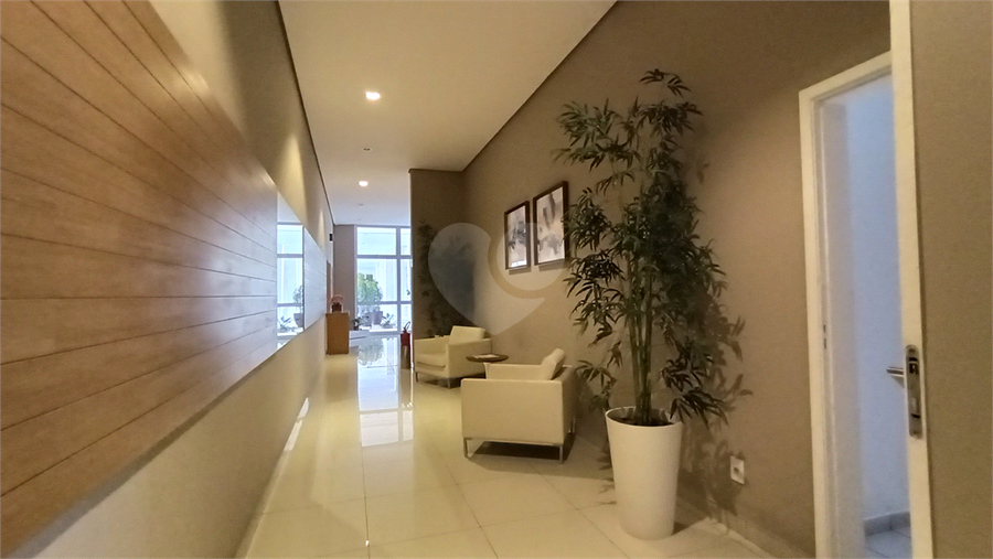 Foto REO952624