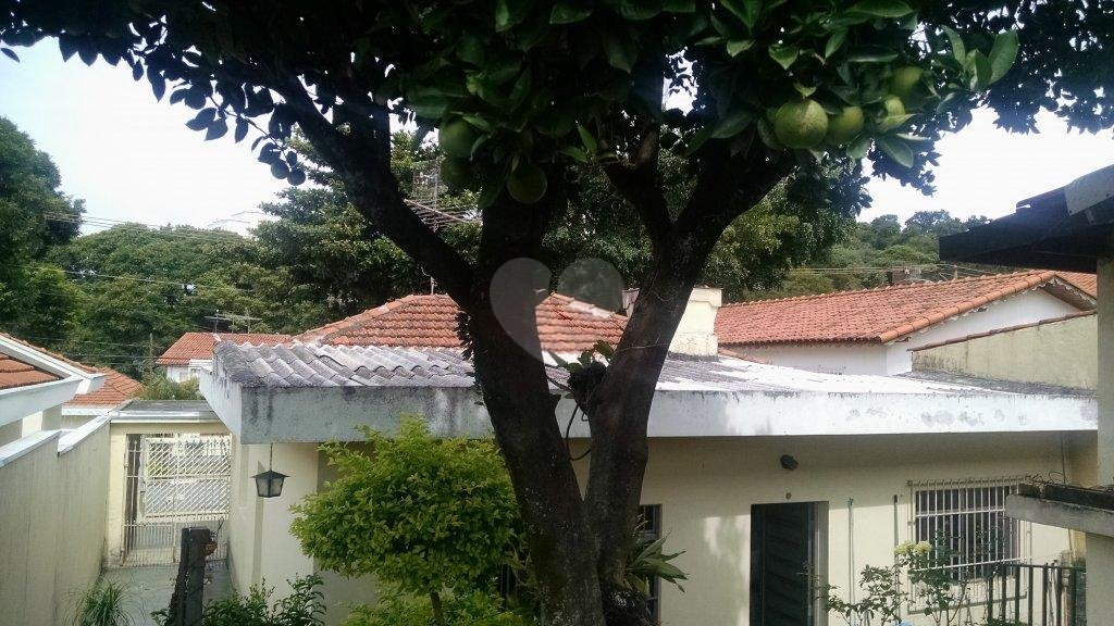 Venda Casa São Paulo Vila Jaguara REO95267 17