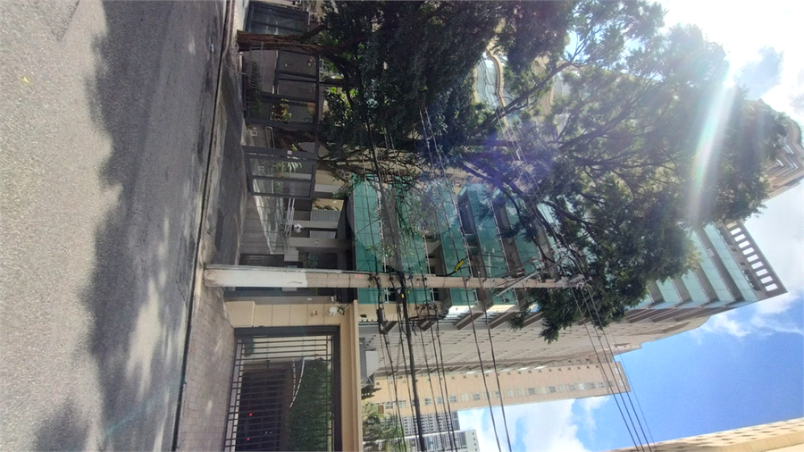 Foto REO952868