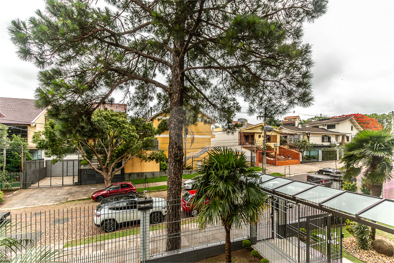 Foto REO954148