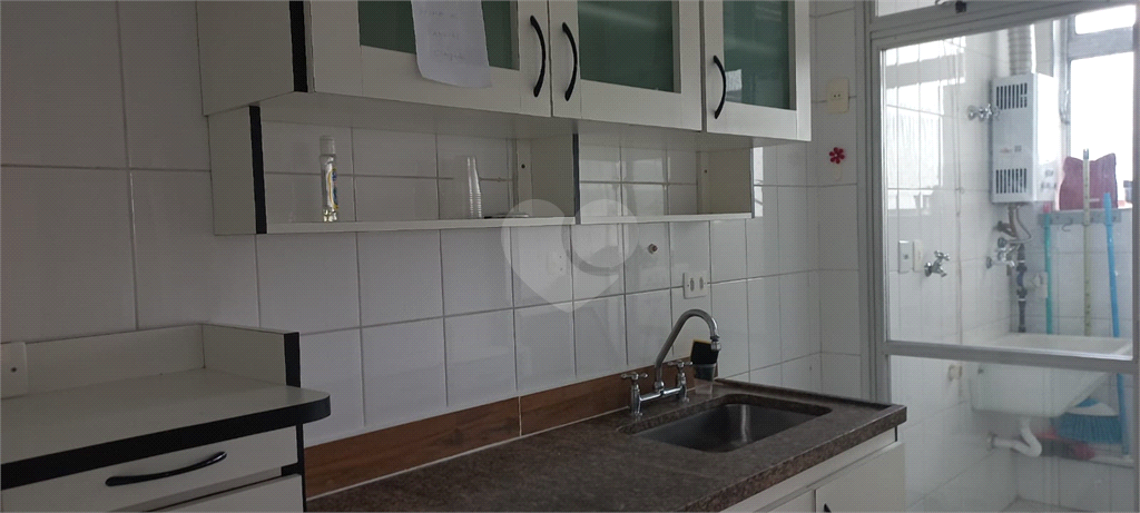 Aluguel Apartamento São Paulo Bela Aliança REO954240 3