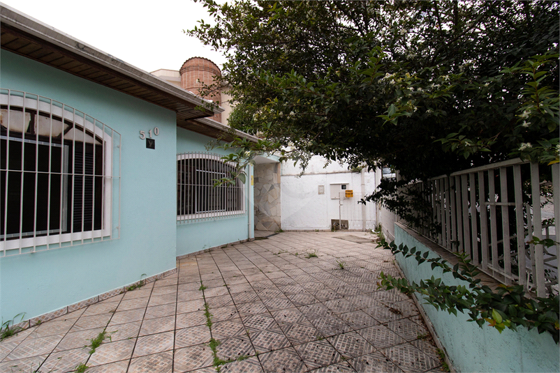 Foto REO954396