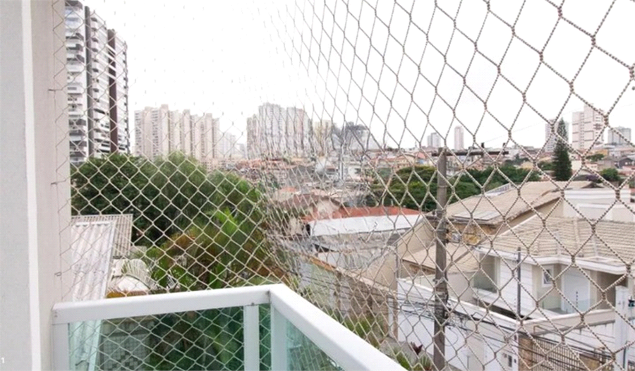 Foto REO954475