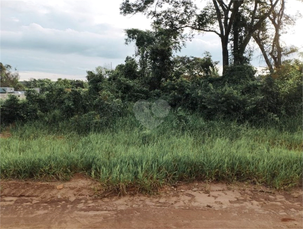 Venda Terreno Bauru Vale Do Igapó REO954705 23