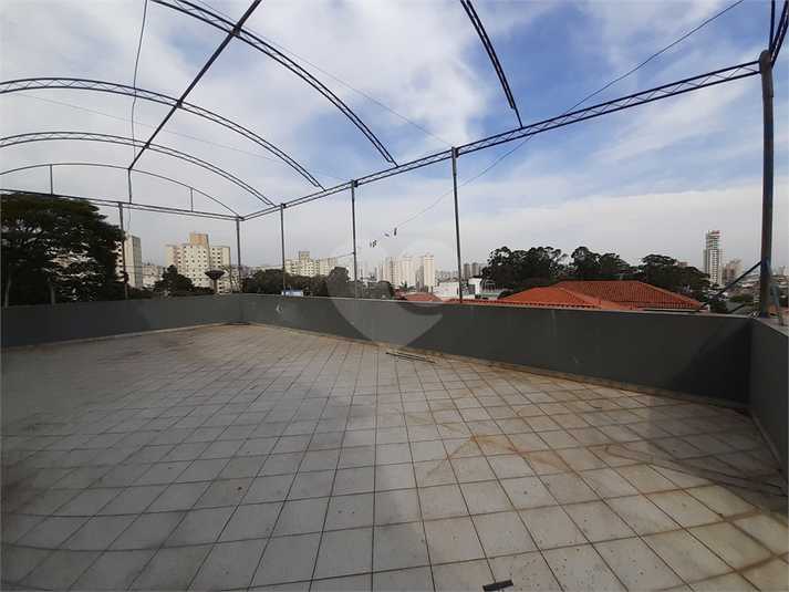 Foto REO955018