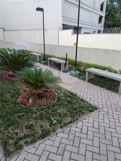 Foto REO955436