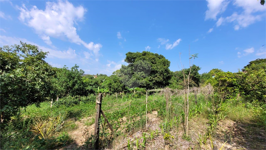 Venda Chácara Salto Área Rural De Salto REO956753 10