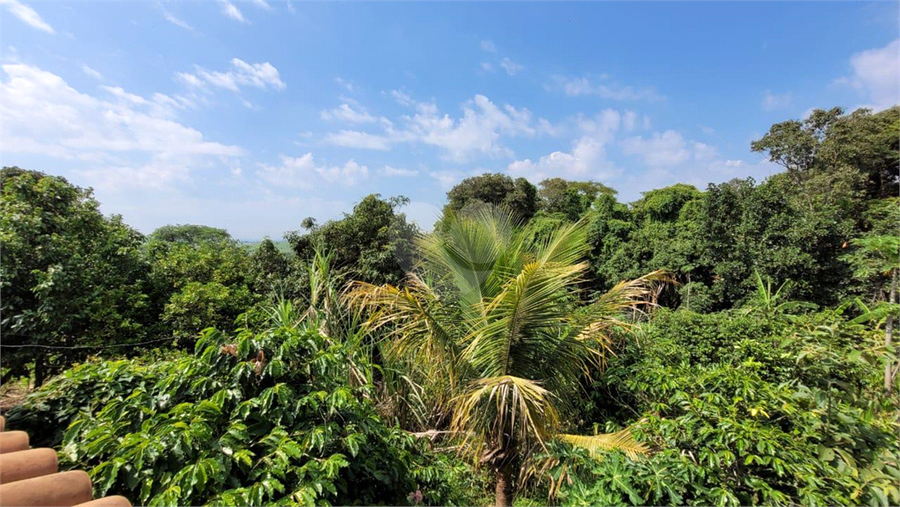 Venda Chácara Salto Área Rural De Salto REO956753 7