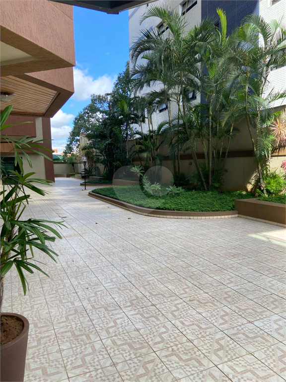 Venda Apartamento Fernandópolis Parque Das Nações REO957064 23