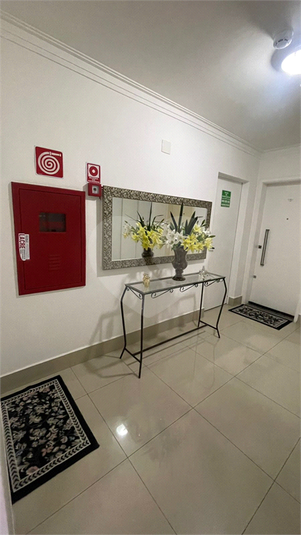 Foto REO958161