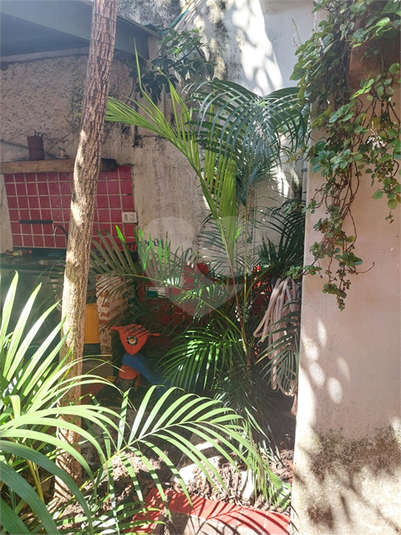 Foto REO958553